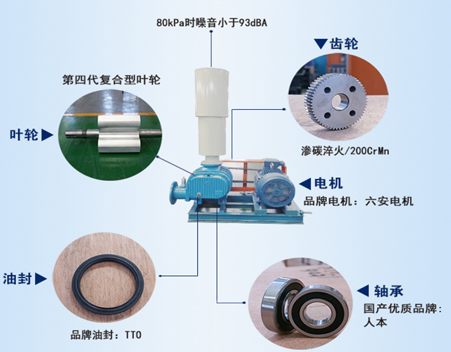 章丘豐源機(jī)械羅茨鼓風(fēng)機(jī)產(chǎn)品結(jié)構(gòu)說(shuō)明圖